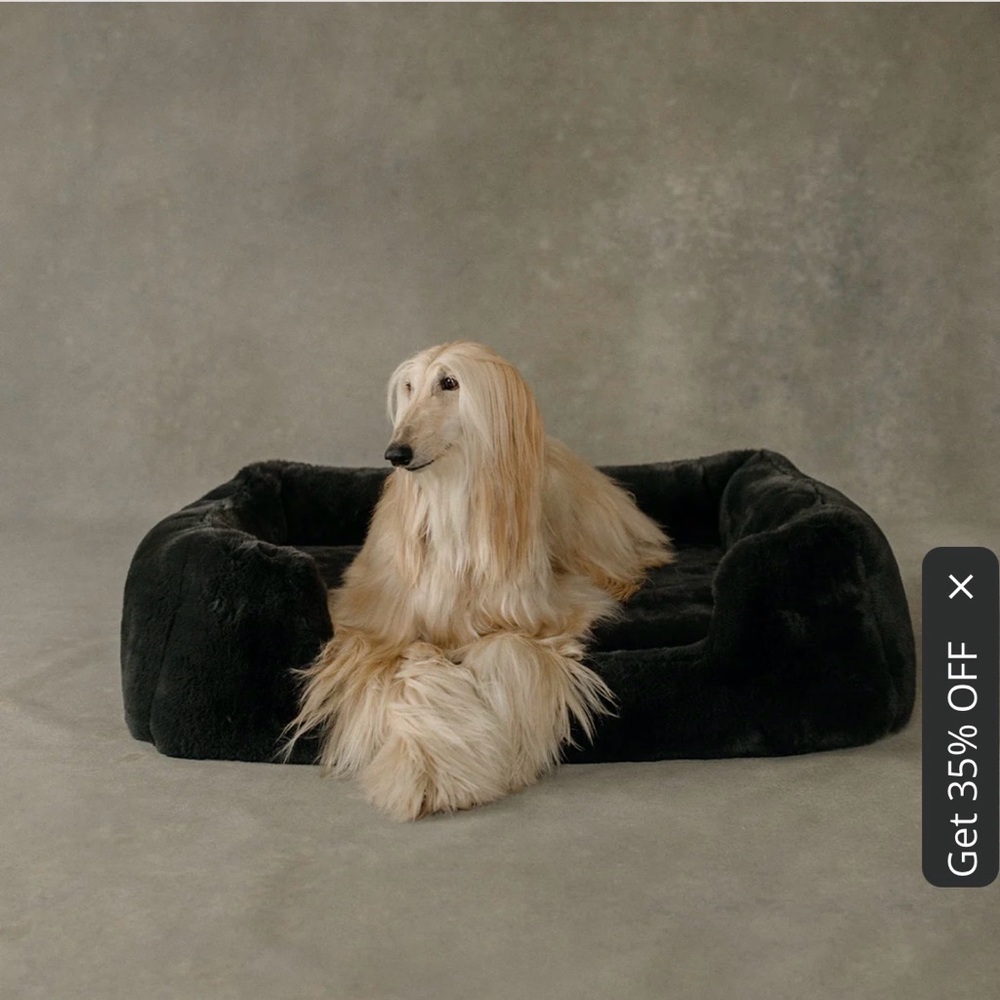 The Lola Pet Bed | Charcoal Grey - medium BRAND NEW